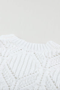 Crewneck Balloon Sleeve Textured Knit Sweater